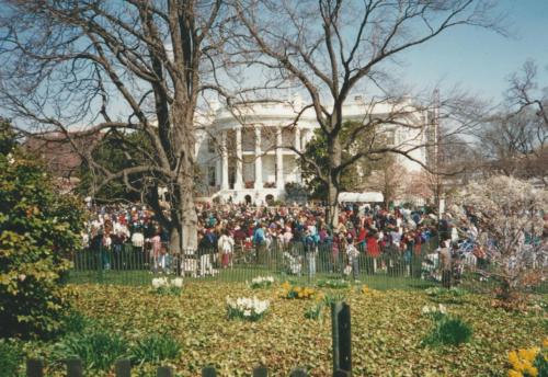 Easter Egg south lawn 1